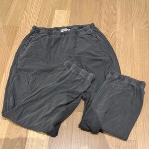 Xirena sweatpants